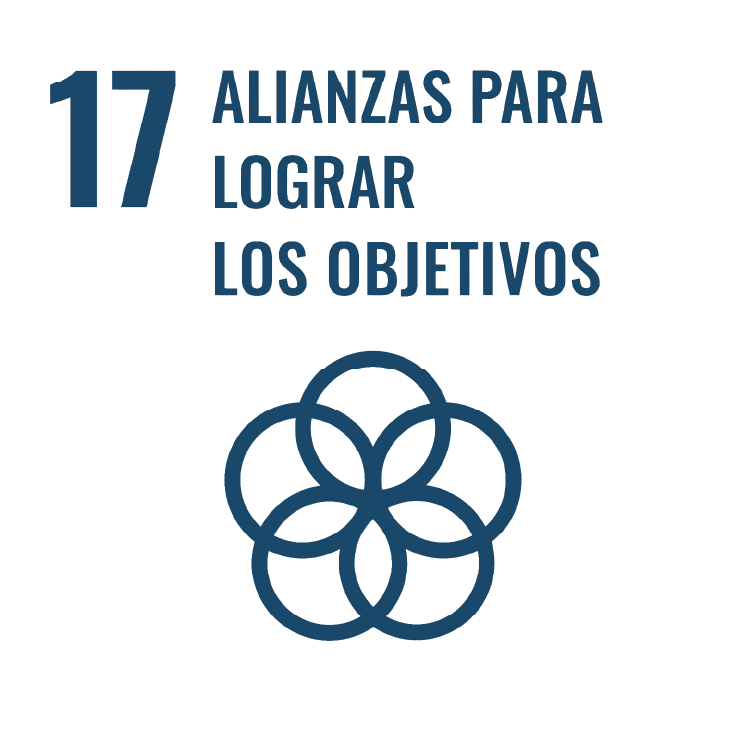 ODS 17